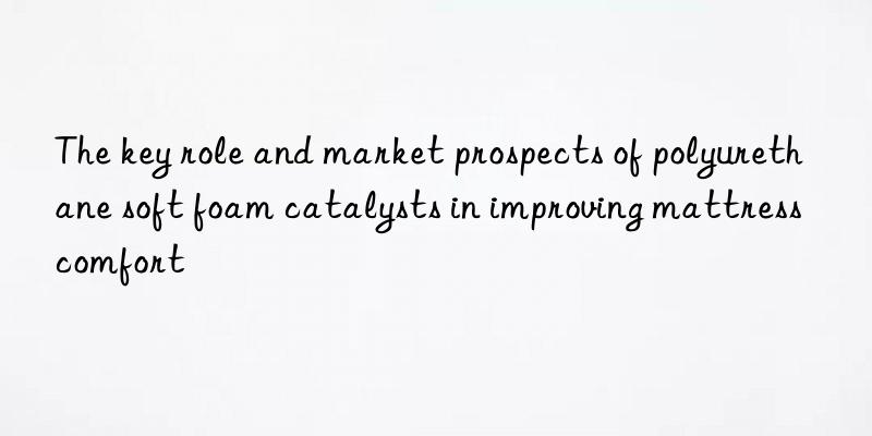 the key role and market prospects of polyurethane soft foam catalysts in improving mattress comfort