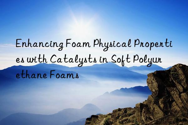 enhancing foam physical properties with catalysts in soft polyurethane foams