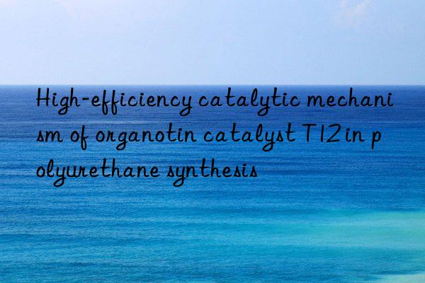 high-efficiency catalytic mechanism of organotin catalyst t12 in polyurethane synthesis