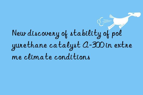 new discovery of stability of polyurethane catalyst a-300 in extreme climate conditions