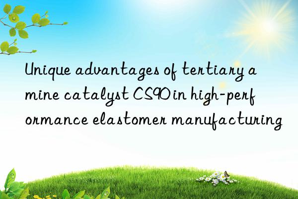 unique advantages of tertiary amine catalyst cs90 in high-performance elastomer manufacturing