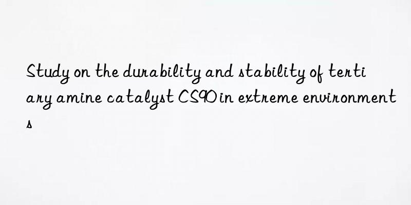 study on the durability and stability of tertiary amine catalyst cs90 in extreme environments