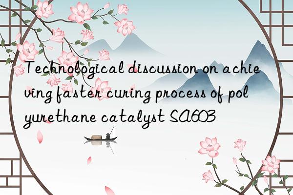 technological discussion on achieving faster curing process of polyurethane catalyst sa603
