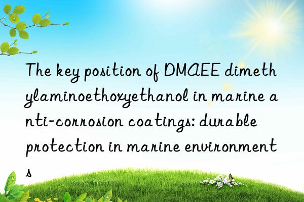 the key position of dmaee dimethylaminoethoxyethanol in marine anti-corrosion coatings: durable protection in marine environments