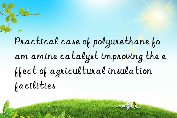 practical case of polyurethane foam amine catalyst improving the effect of agricultural insulation facilities