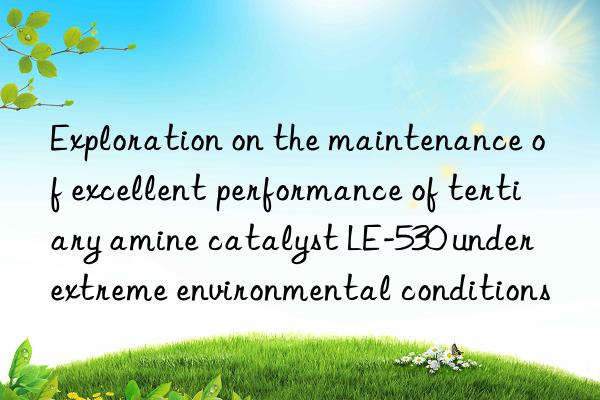 exploration on the maintenance of excellent performance of tertiary amine catalyst le-530 under extreme environmental conditions
