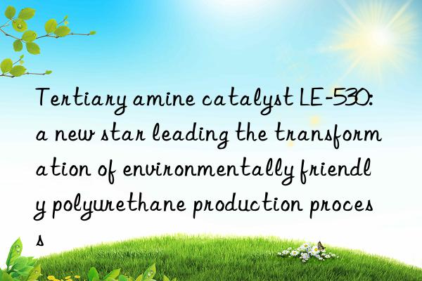tertiary amine catalyst le-530: a new star leading the transformation of environmentally friendly polyurethane production process