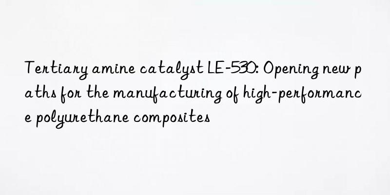 tertiary amine catalyst le-530: opening new paths for the manufacturing of high-performance polyurethane composites