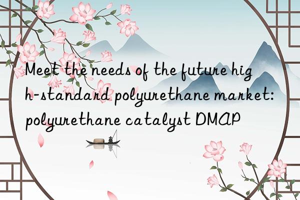 meet the needs of the future high-standard polyurethane market: polyurethane catalyst dmap