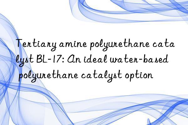 tertiary amine polyurethane catalyst bl-17: an ideal water-based polyurethane catalyst option