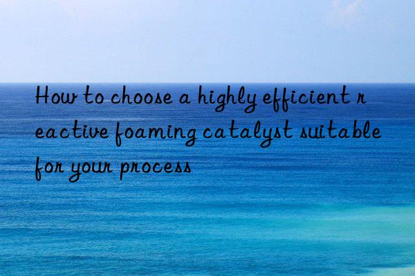 how to choose a highly efficient reactive foaming catalyst suitable for your process