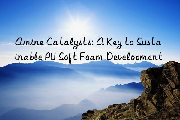 Amine Catalysts: A Key to Sustainable PU Soft Foam Development