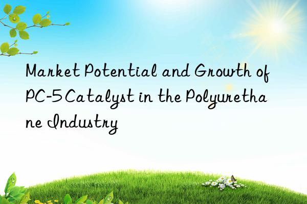 Market Potential and Growth of PC-5 Catalyst in the Polyurethane Industry