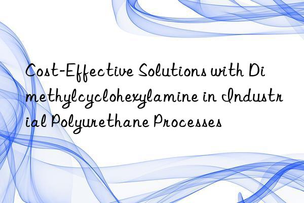 Cost-Effective Solutions with Dimethylcyclohexylamine in Industrial Polyurethane Processes