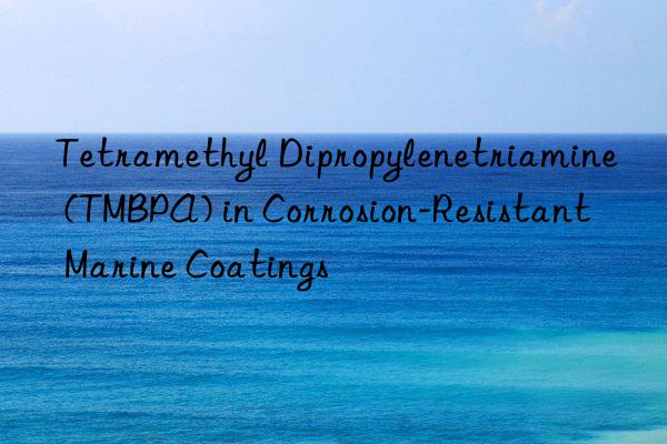 Tetramethyl Dipropylenetriamine (TMBPA) in Corrosion-Resistant Marine Coatings