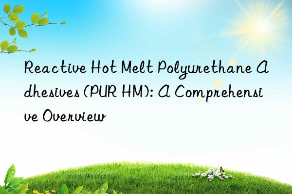 Reactive Hot Melt Polyurethane Adhesives (PUR HM): A Comprehensive Overview