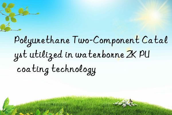 Polyurethane Two-Component Catalyst utilized in waterborne 2K PU coating technology