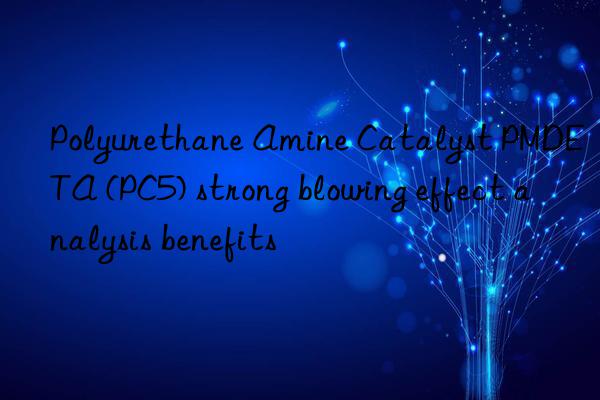 Polyurethane Amine Catalyst PMDETA (PC5) strong blowing effect analysis benefits