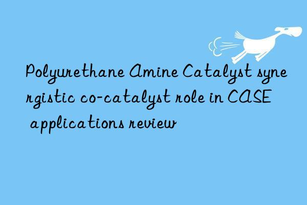 Polyurethane Amine Catalyst synergistic co-catalyst role in CASE applications review
