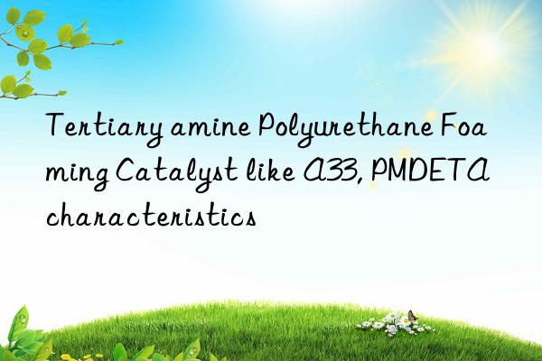 Tertiary amine Polyurethane Foaming Catalyst like A33, PMDETA characteristics
