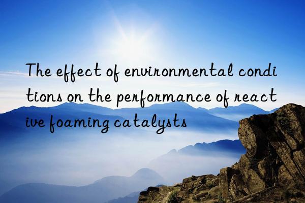 the effect of environmental conditions on the performance of reactive foaming catalysts