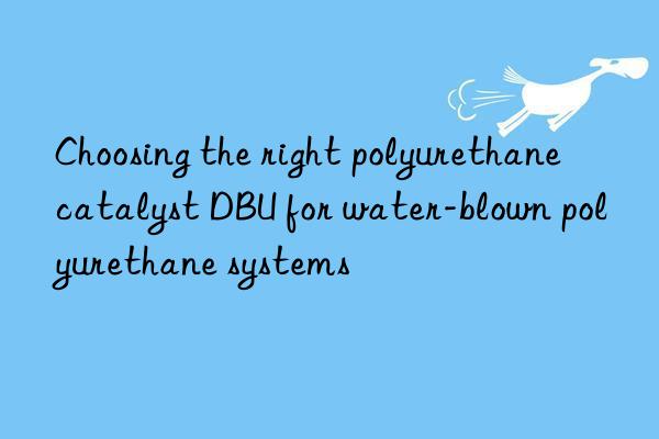 choosing the right polyurethane catalyst dbu for water-blown polyurethane systems