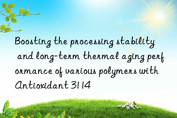 Boosting the processing stability and long-term thermal aging performance of various polymers with Antioxidant 3114