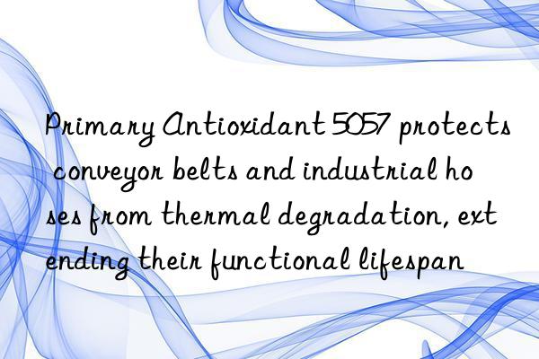 Primary Antioxidant 5057 protects conveyor belts and industrial hoses from thermal degradation, extending their functional lifespan