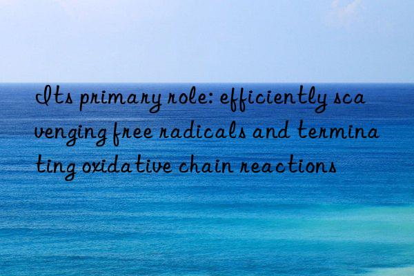 Its primary role: efficiently scavenging free radicals and terminating oxidative chain reactions
