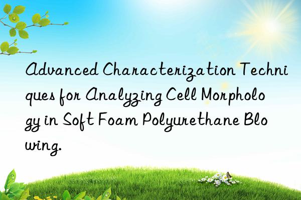 Advanced Characterization Techniques for Analyzing Cell Morphology in Soft Foam Polyurethane Blowing.