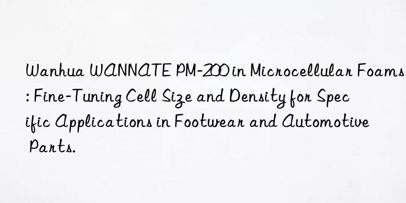 Wanhua WANNATE PM-200 in Microcellular Foams: Fine-Tuning Cell Size and Density for Specific Applications in Footwear and Automotive Parts.