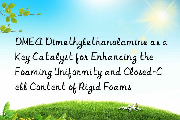 DMEA Dimethylethanolamine as a Key Catalyst for Enhancing the Foaming Uniformity and Closed-Cell Content of Rigid Foams