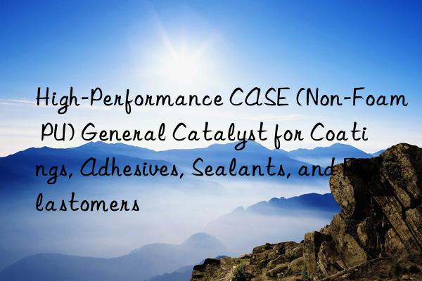 High-Performance CASE (Non-Foam PU) General Catalyst for Coatings, Adhesives, Sealants, and Elastomers