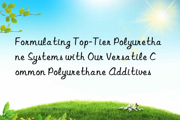 Formulating Top-Tier Polyurethane Systems with Our Versatile Common Polyurethane Additives