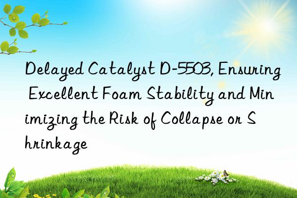 Delayed Catalyst D-5503, Ensuring Excellent Foam Stability and Minimizing the Risk of Collapse or Shrinkage
