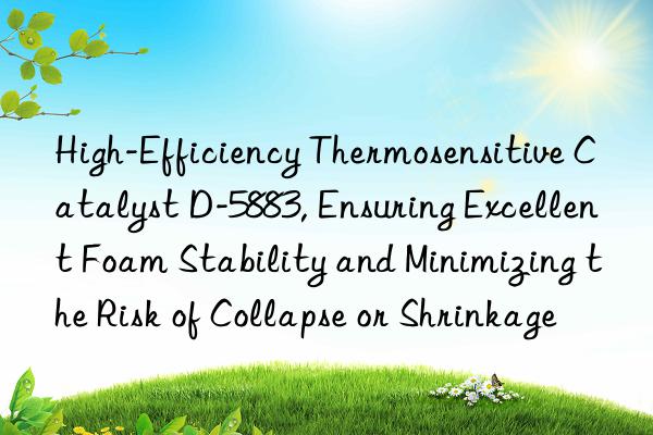 high-efficiency thermosensitive catalyst d-5883, ensuring excellent foam stability and minimizing the risk of collapse or shrinkage