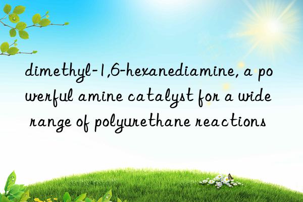 dimethyl-1,6-hexanediamine, a powerful amine catalyst for a wide range of polyurethane reactions