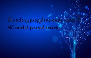 Shandong propylene oxide route DMC model passed review