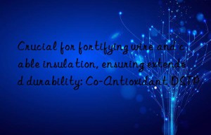 Crucial for fortifying wire and cable insulation, ensuring extended durability: Co-Antioxidant DSTP