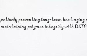 Effectively preventing long-term heat aging and maintaining polymer integrity with DSTP