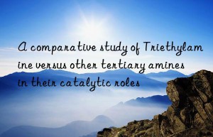 A comparative study of Triethylamine versus other tertiary amines in their catalytic roles