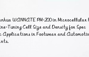 wannate pm-200 in microcellular foams: fine-tuning cell size and density for specific applications in footwear and automotive parts.