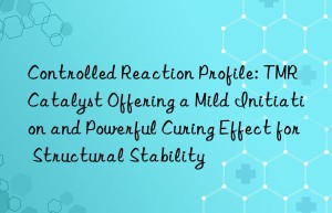 Controlled Reaction Profile: TMR Catalyst Offering a Mild Initiation and Powerful Curing Effect for Structural Stability