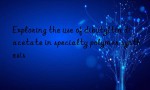 Exploring the use of dibutyltin diacetate in specialty polymer synthesis