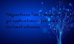 Polyurethane Two-Component Catalyst applications in fast cure structural adhesives
