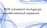 BASF antioxidant strategies for durable industrial components