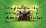 Tridecyl Phosphite: A key secondary antioxidant for advanced polymer stabilization