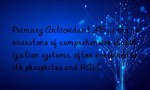 Primary Antioxidant 245 as the cornerstone of comprehensive stabilization systems, often combined with phosphites and HALS