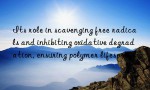 Its role in scavenging free radicals and inhibiting oxidative degradation, ensuring polymer lifespan