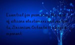 Essential for promoting the cure of silicone elastomers and sealants, Zirconium Octoate is a key component